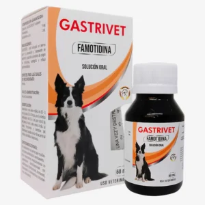 Gastrivet Famotodina tratamiento gastritis y ulceras perros 60ml