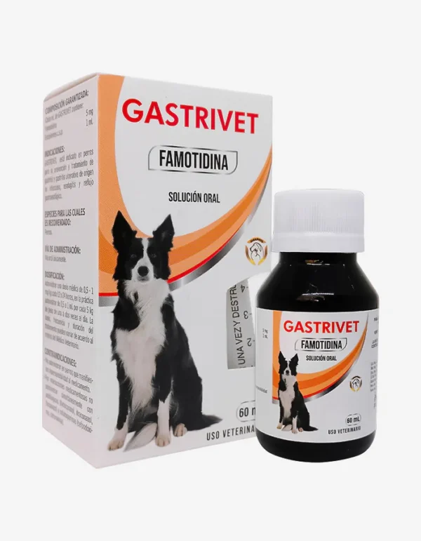 Gastrivet Famotodina tratamiento gastritis y ulceras perros 60ml